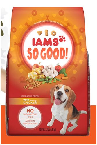 $10 off in new Iams Dog and Cat Food Coupons! - Mojosavings.com