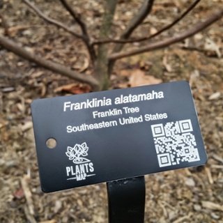 FREE Plant Tags For Your Garden! - Mojosavings.com