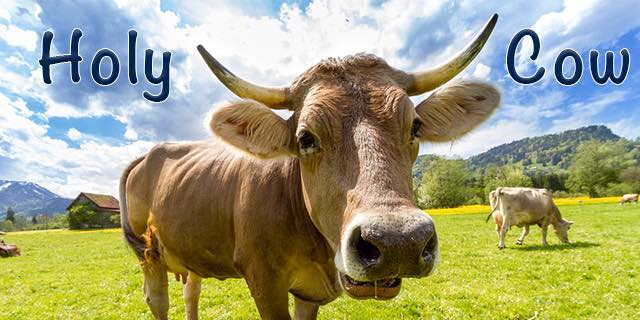 Over $100 In NEW Savings For July! - Mojosavings.com